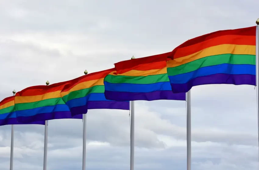  Serviço público uniformiza coleta de dados da população LGBTQIA+